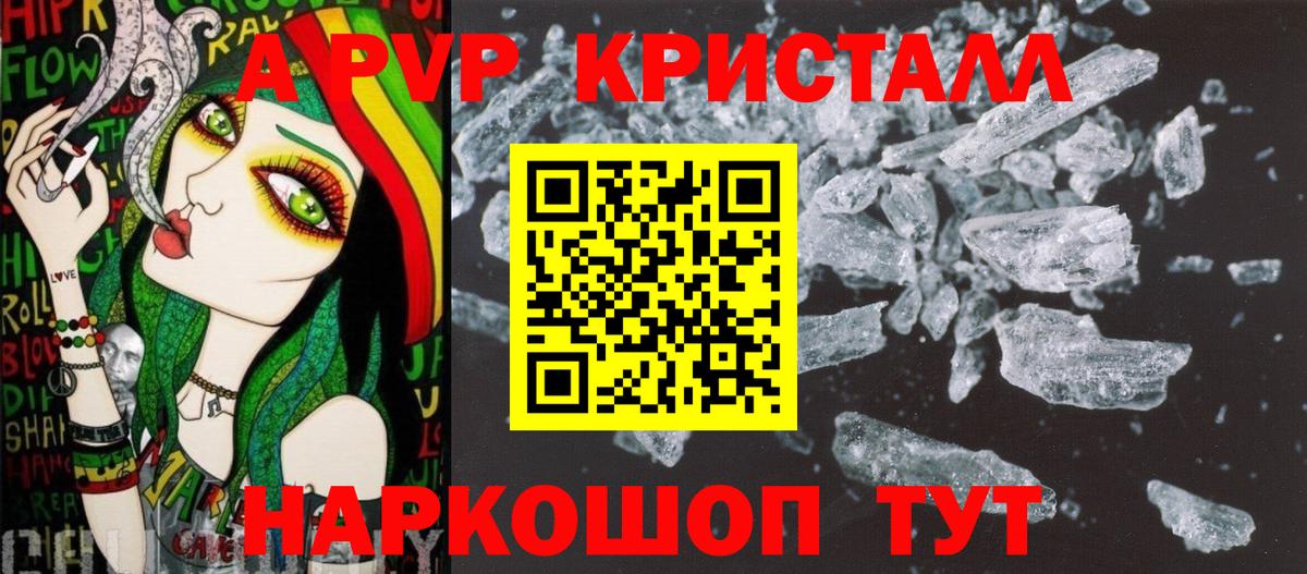 Alfa_PVP СК КРИС Кандалакша