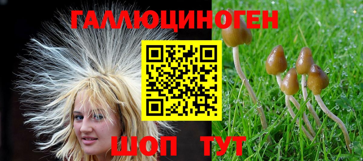 Галлюциногенные грибы GOLDEN TEACHER Кандалакша